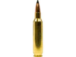 500 Rounds of Dogtown Ammunition 22 Nosler 55 Grain Polymer Tip Flat Base For Sale