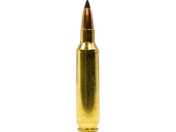 500 Rounds of Dogtown Ammunition 22 Nosler 55 Grain Polymer Tip Flat Base For Sale