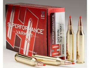 500 Rounds of Hornady Superformance Varmint Ammunition 243 Winchester 75 Grain V-MAX Polymer Tip Box of 20 For Sale