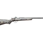 Chipmunk Rifle Single Shot Youth Rimfire Rifle 22 Long Rifle 16.125
