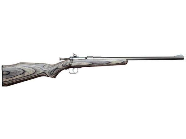 Chipmunk Rifle Single Shot Youth Rimfire Rifle 22 Long Rifle 16.125" Barrel Stainless and Black Laminate Monte Carlo For Sale