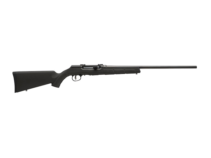 Savage Arms A17 Semi-Automatic Rimfire Rifle 17 Hornady Mach 2 (HM2) 20 ...