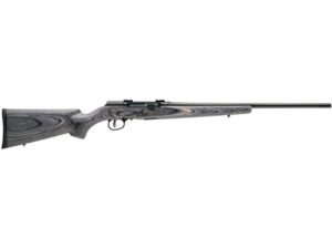 Savage Arms A17 Sporter Semi-Automatic Rimfire Rifle 17 Winchester Super Magnum 22" Barrel Black and Gray Laminated For Sale