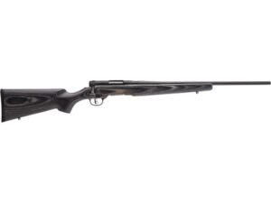Savage Arms BMAG Sporter Bolt Action Rimfire Rifle 17 Winchester Super Magnum 22" Barrel Blued and Gray For Sale