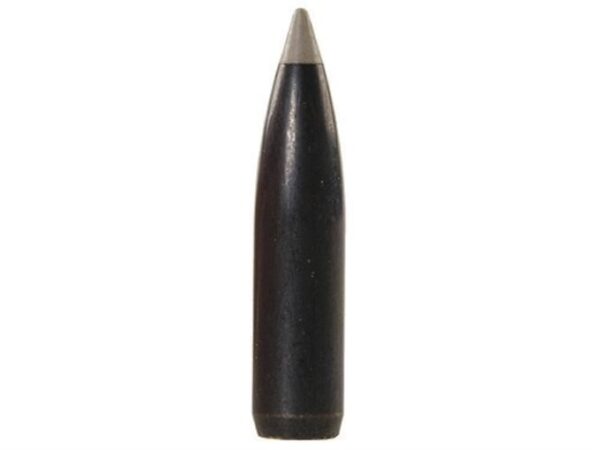 Combined Technology Ballistic Silvertip Hunting Bullets 243 Caliber
