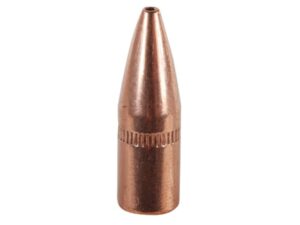Factory Second Bullets 22 Caliber (224 Diameter) 55 Grain Hollow Point For Sale