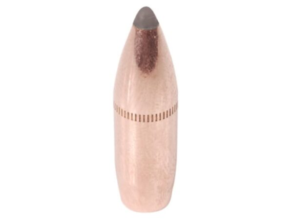 Factory Second Bullets 30 Caliber (308 Diameter) 160 Grain Flexible Polymer Tip Spitzer Box of 100 (Bulk Packaged) For Sale