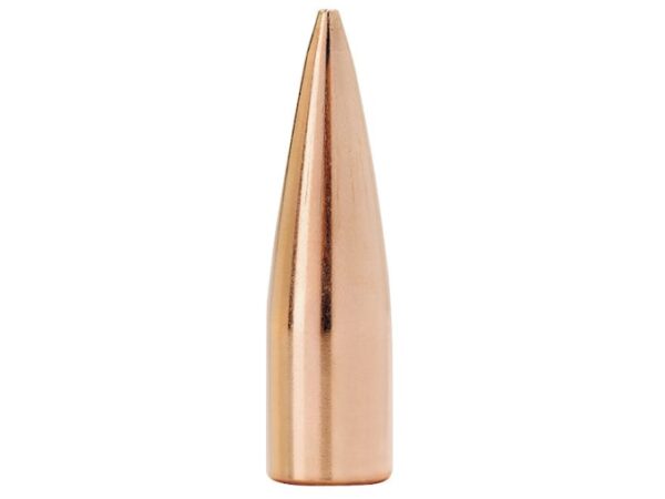 Factory Second Match Bullets 300 AAC Blackout (308 Diameter) 125 Grain Hollow Point Box of 100 (Bulk Packaged) For Sale