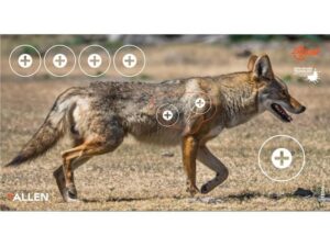 Allen EZ-Aim Splash Non-Adhesive 12.75″x24″ Coyote Target Pack of 3 For Sale