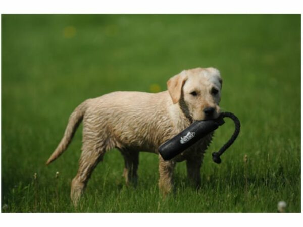 Avery 2″ Canvas Bumper Dog Training Dummy For Sale