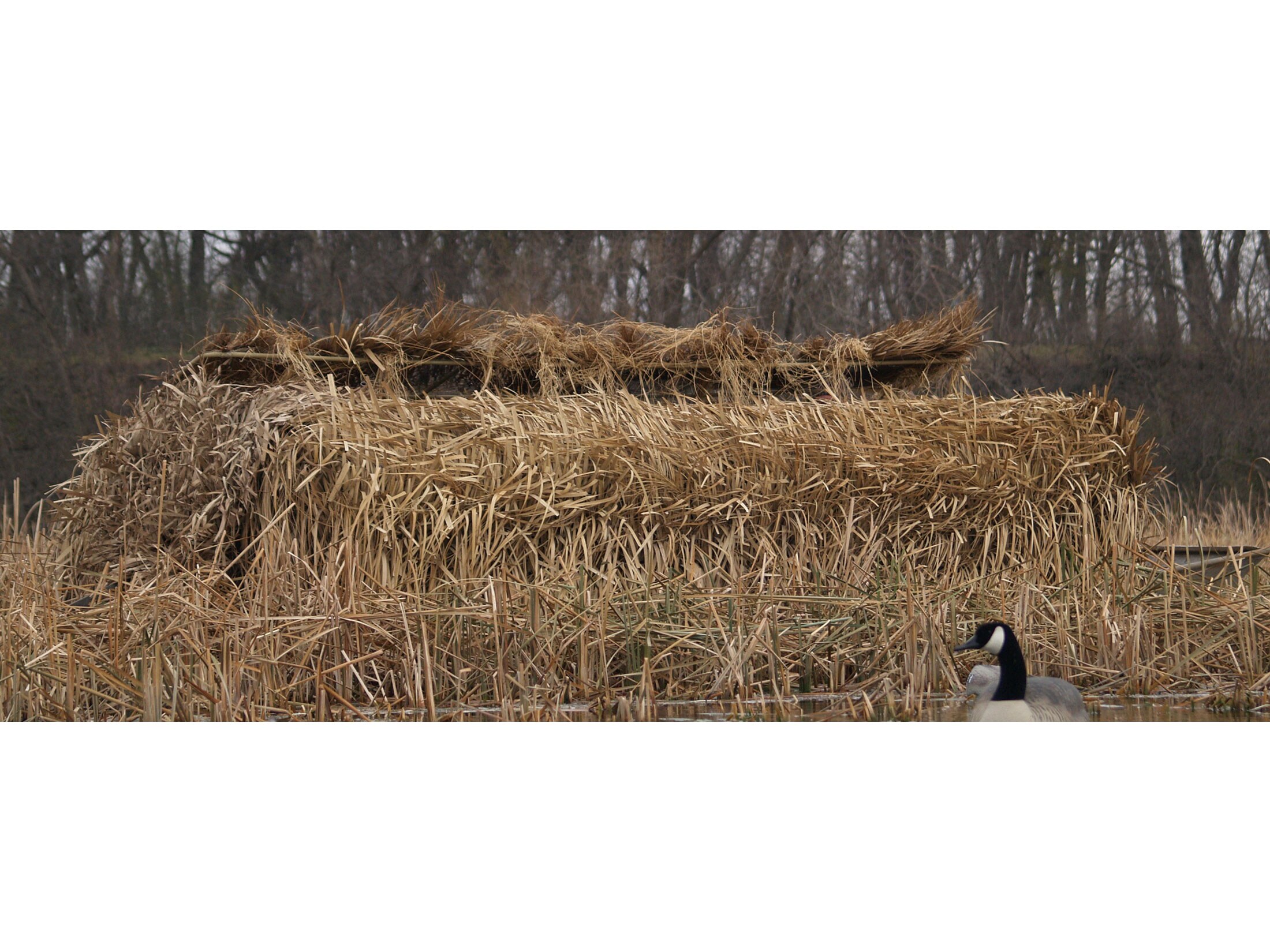 Avery RealGrass Blind Material For Sale