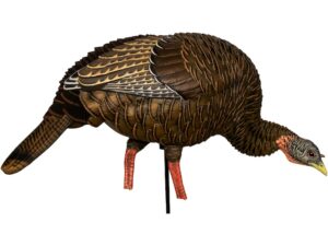 Avian-X HDR Feeding Hen Turkey Decoy For Sale