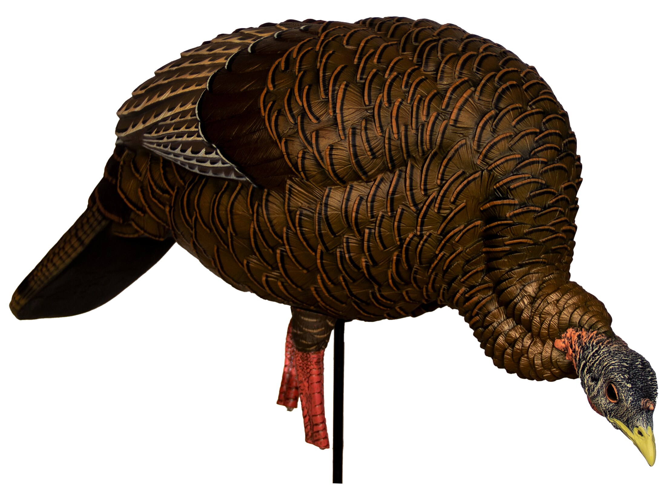 Avian-X HDR Feeding Hen Turkey Decoy For Sale