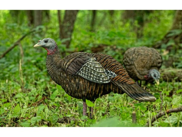 Avian-X LCD Breeder Hen Turkey Decoy For Sale