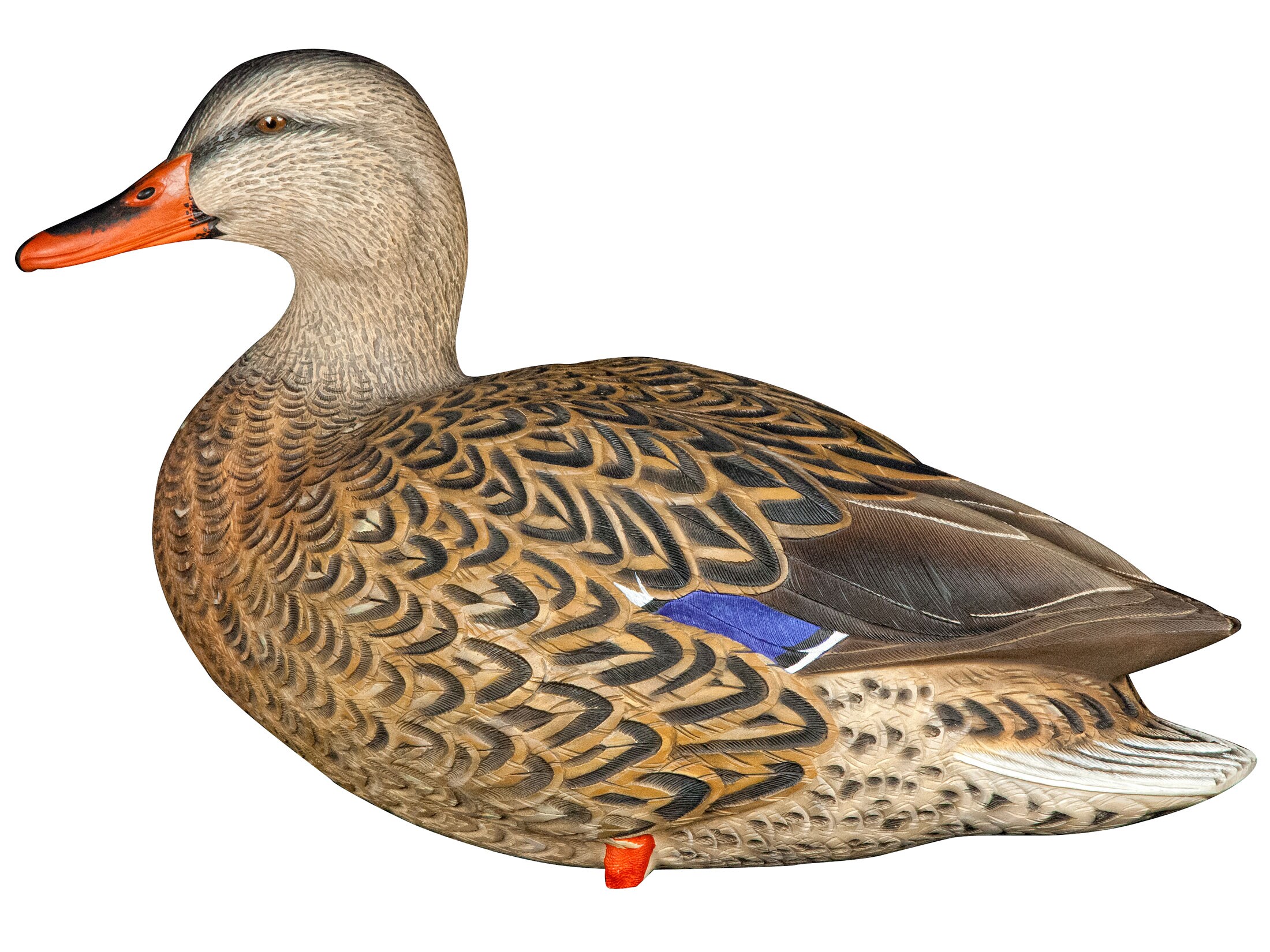 Avian-X Top Flight Full Body Mallard Duck Decoy Pack of 6 with Slotted Decoy Bag For Sale