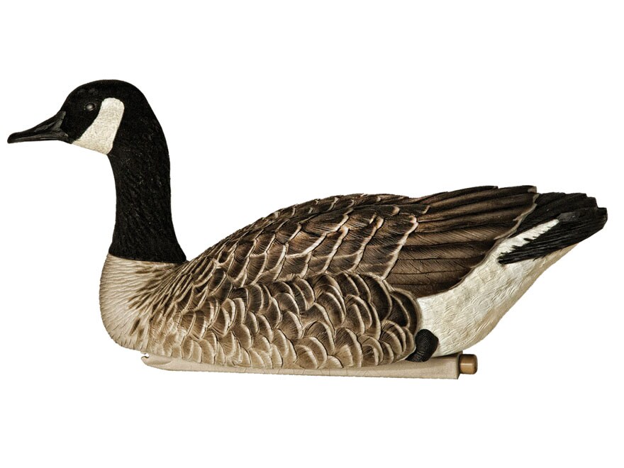 Avian-X Topflight Honkers Floater Canada Goose Decoy Pack of 4 For Sale