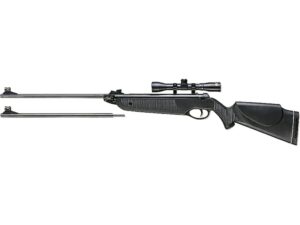 Beeman Black Cub 177 & 22 Caliber Pellet Air Rifle Black with Scope For Sale