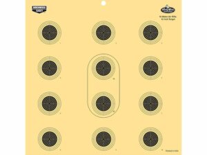 Birchwood Casey Dirty Bird 12″ 10 Meter Air Rifle Reactive Target Pack of 12 For Sale