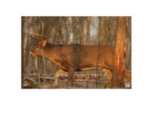 Birchwood Casey Eze-Scorer Deer Target 23″ x 35″ Package of 2 For Sale