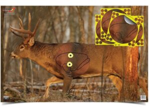 Birchwood Casey Eze-Scorer Whitetail 23″ x 35″ Target with 4 Pack of Shoot-N-C Oval Overlay Target Package of 2 For Sale
