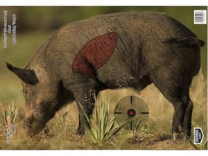 Birchwood Casey Pregame Boar Target 16.5×24 Pack of 3 For Sale