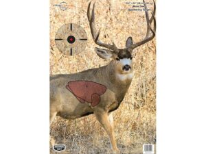 Birchwood Casey Pregame Mule Deer Target 16.5×24 Pack of 3 For Sale