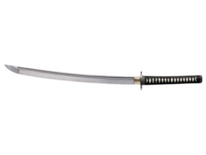 Cold Steel Warrior Series Chisa Katana Sword 24.5″ 1060 Carbon Steel Blade Ray Skin Handle Black For Sale