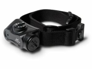 D.T. Systems Bark Boss Electronic Dog Collar Black For Sale