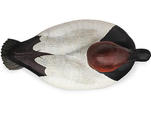 DOA Canvasback Duck Decoy Foam Filled 6 Pack For Sale