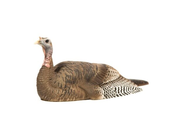 Dave Smith Decoys DSD Mating Hen Turkey Decoy For Sale