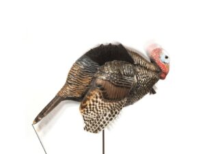 Dave Smith Decoys DSD Mating Motion Jake Turkey Decoy For Sale