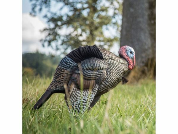 Dave Smith Decoys DSD Mating Motion Jake Turkey Decoy For Sale