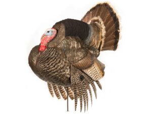 Dave Smith Decoys DSD Strutter Gobbler Turkey Decoy For Sale