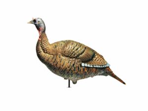 Dave Smith Decoys DSD Upright Hen Turkey Decoy For Sale