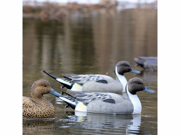 Flambeau Storm Front 2 Pintail Duck Decoys Pack of 6 For Sale
