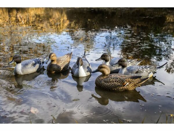 Flambeau Storm Front 2 Pintail Duck Decoys Pack of 6 For Sale