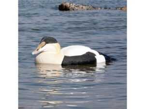 GHG Commercial Grade Foam Filled Eider Duck Decoy Pack of 4 For Sale