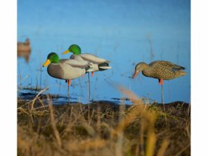 GHG FFD Elite Mallard Harvester Full Body Duck Decoy Pack of 6 For Sale