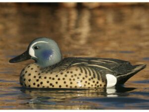 GHG Life-Size Blue Wing Teal Duck Decoy Pack of 6 For Sale