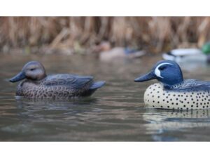 GHG Life-Size Blue Wing Teal Duck Decoy Pack of 6 For Sale