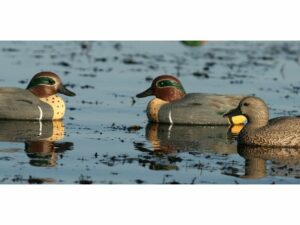 GHG Life-Size Green Wing Teal Duck Decoy Pack of 6 For Sale
