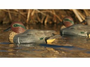 GHG Life-Size Green Wing Teal Duck Decoy Pack of 6 For Sale