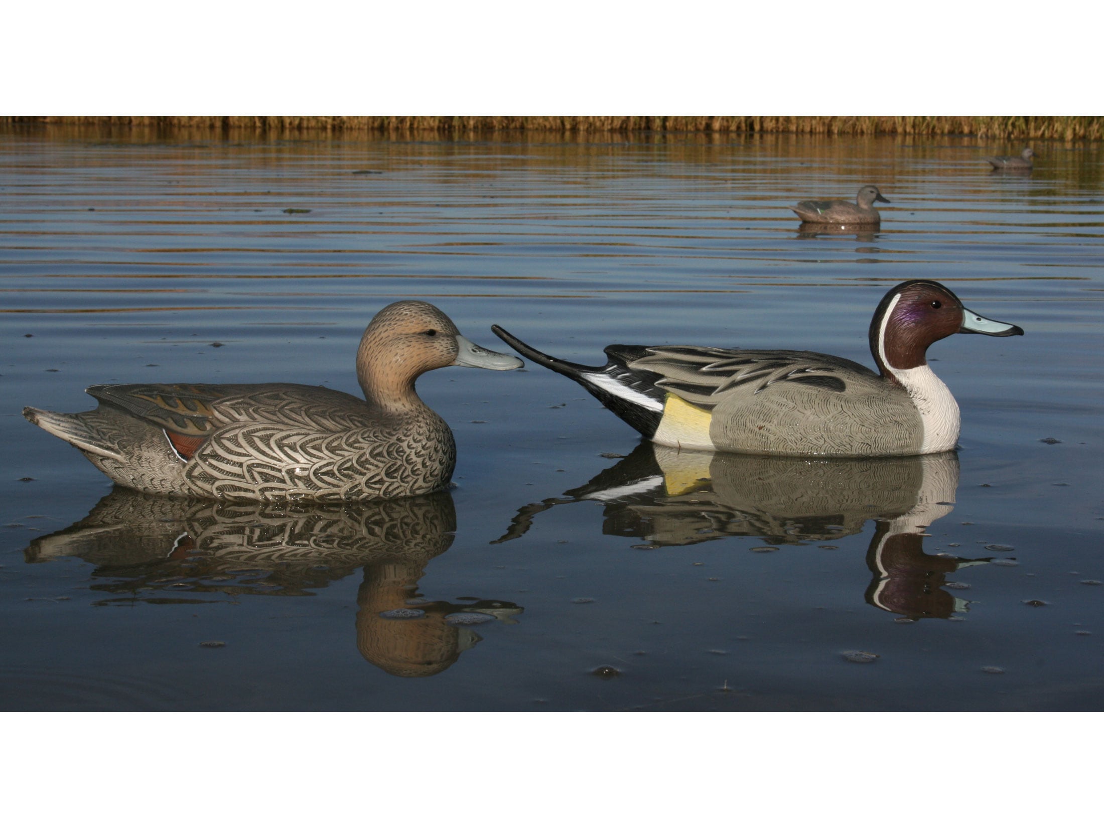 GHG Life-Size Pintail Duck Decoy Pack of 6 For Sale