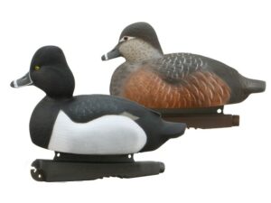GHG Life-Size Ring-Necked Duck Decoy Pack of 6 For Sale