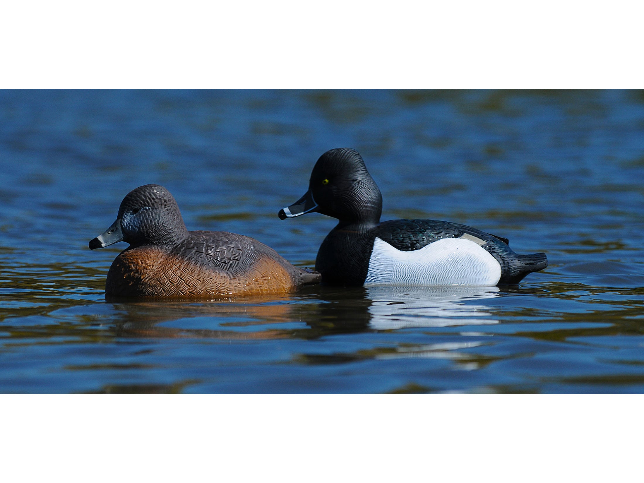 GHG Life-Size Ring-Necked Duck Decoy Pack of 6 For Sale