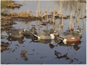 GHG Life-Size Weighted Keel Duck Decoys Puddler Pack of 6 For Sale