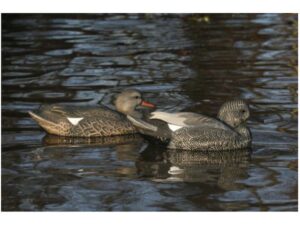GHG Life-Size Weighted Keel Gadwall Duck Decoys Pack of 6 For Sale