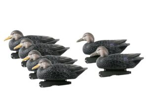 GHG Over-Size Black Duck Decoy Pack of 6 For Sale