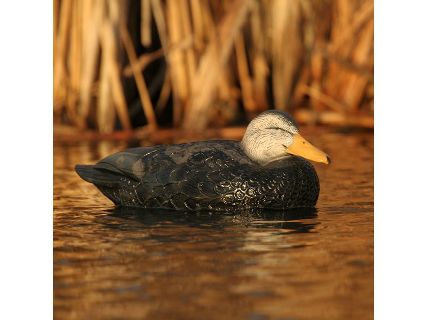 GHG Over-Size Black Duck Decoy Pack of 6 For Sale