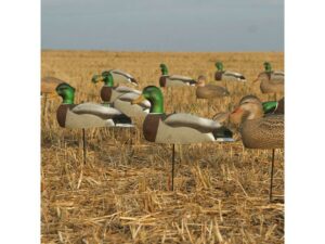 GHG Over-Size Harvester Pack Mallard Shell Duck Decoy Pack of 12 For Sale